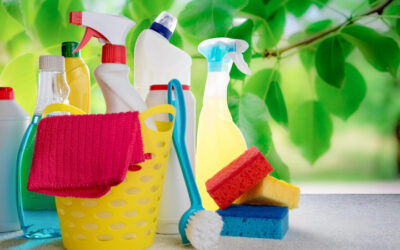 Spring Cleaning Services