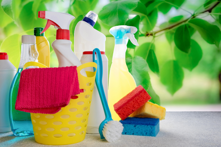 Spring Cleaning Services