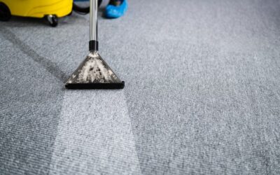 Summer Cleaning – Importance of Air Quality and Carpet Cleaning for a Healthy Workplace